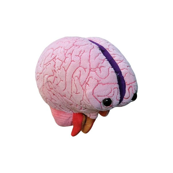 Brain Model Plush